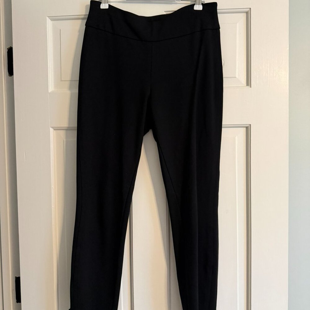 Express Columnist Ankle Pants